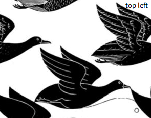 topleft.png