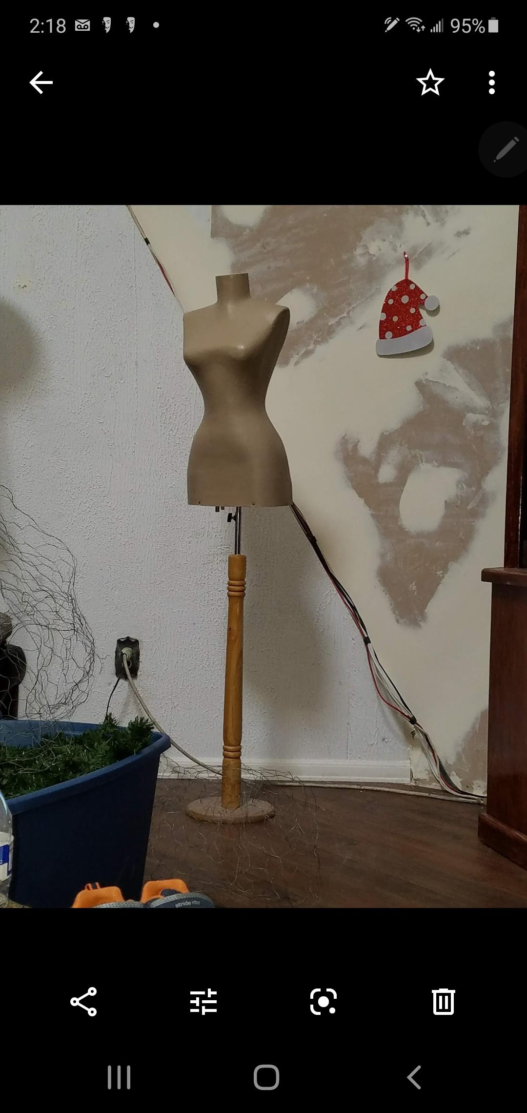 torso.jpg