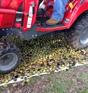 tractor.jpg