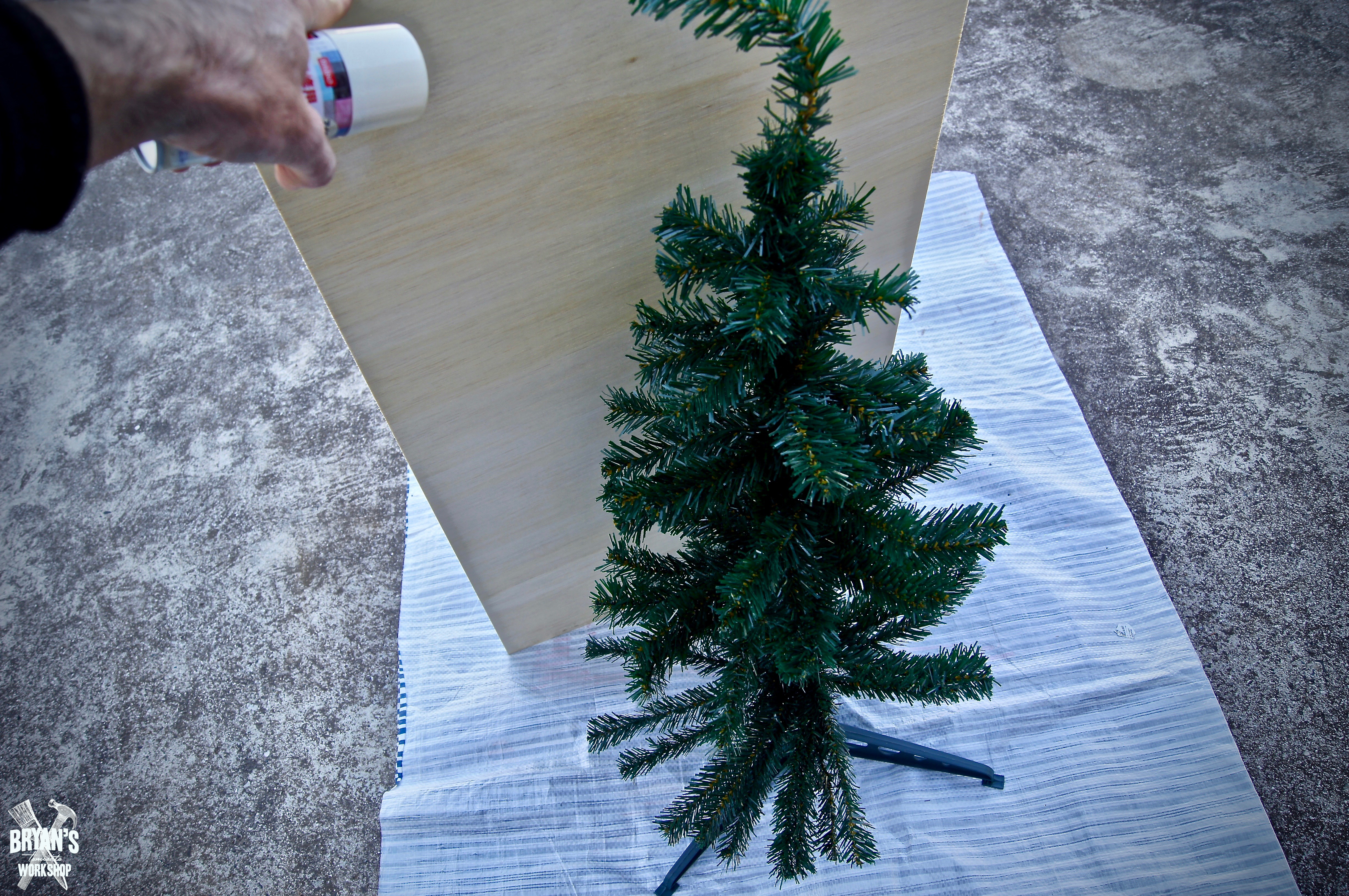 tree9.jpg