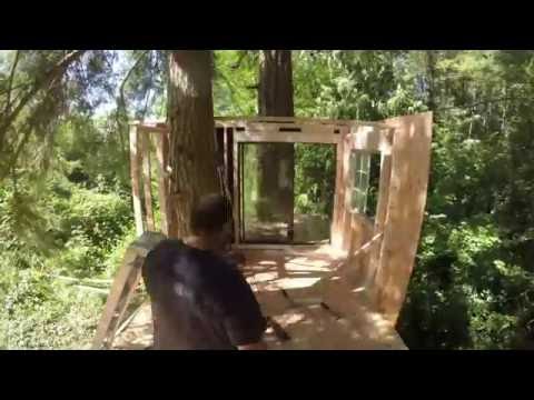 treehouse timelapse