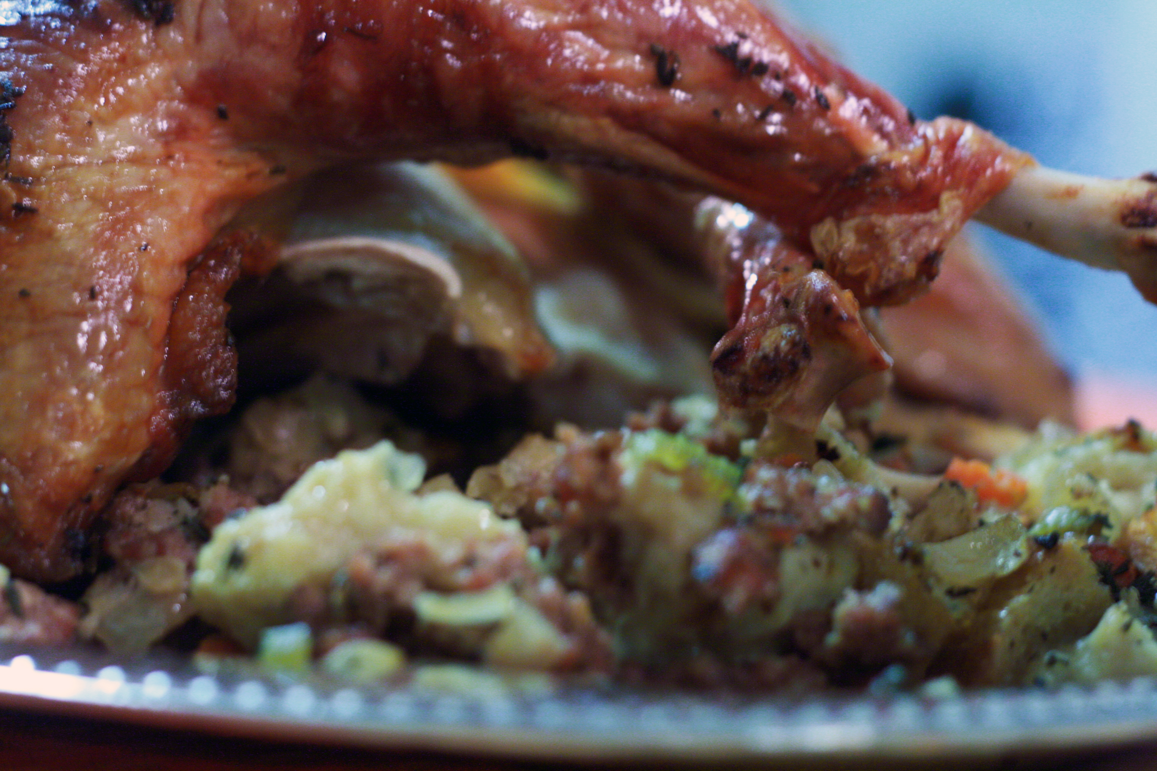 turkeyleg.jpg