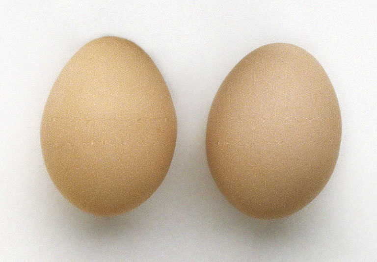 two eggs.jpg