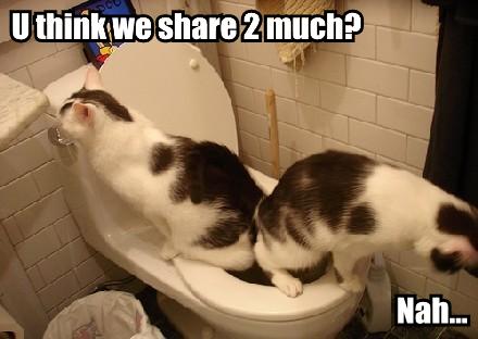 u-think-we-share-2-much-nah.jpg