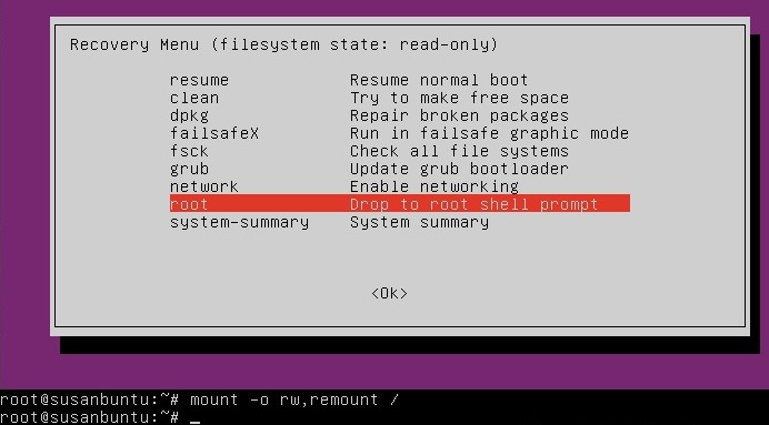 ubuntu root shell prompt.jpg