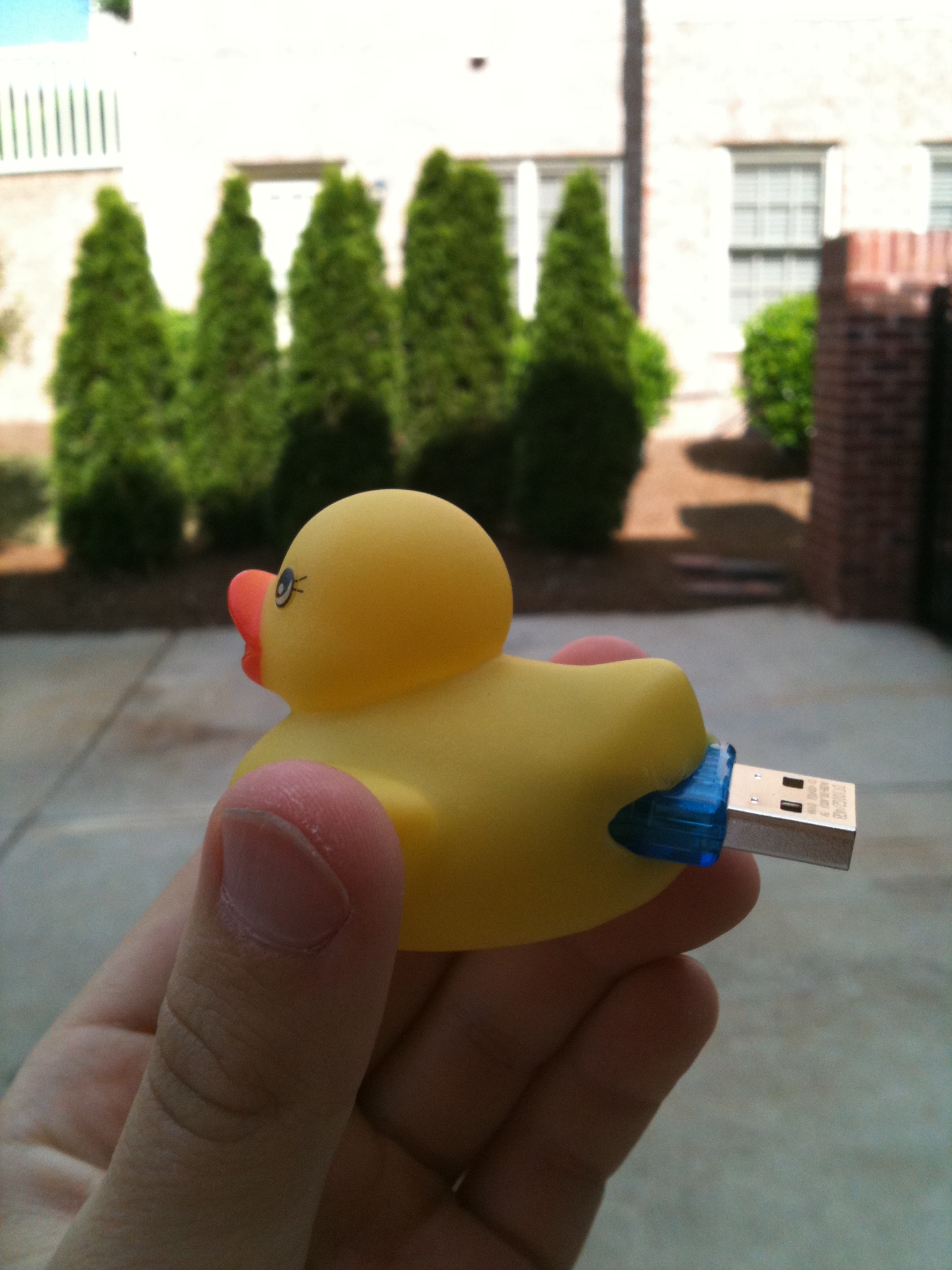 usb duckie 010.jpg