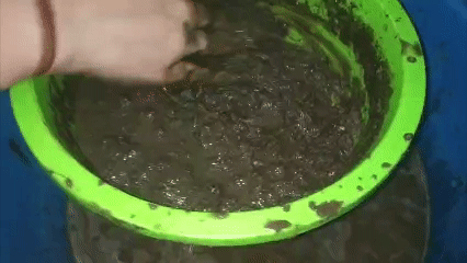 using_sieve.gif
