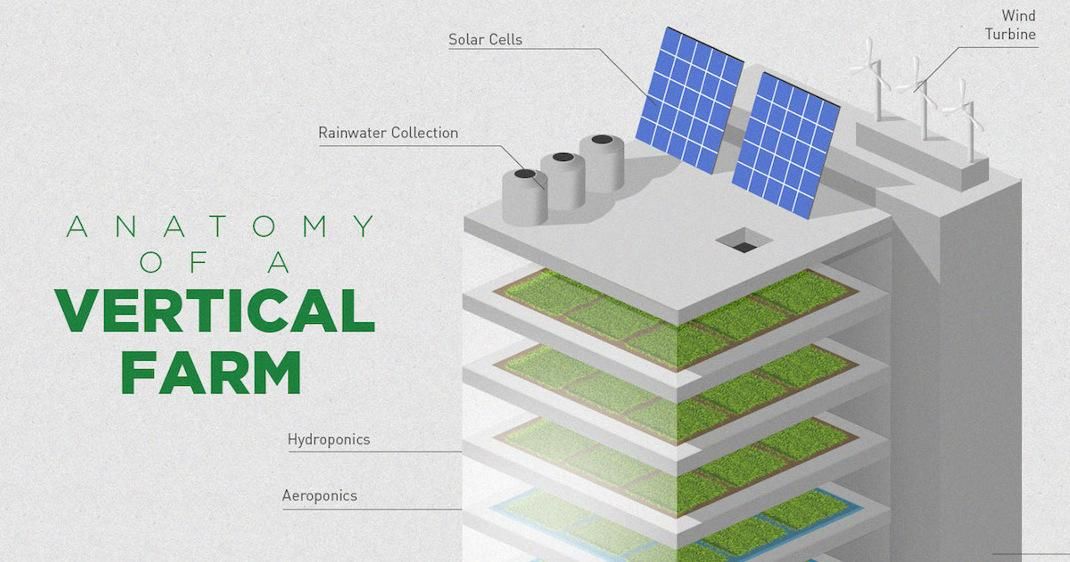 vertical-farm-share.jpg