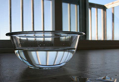 vinegar-bowl.jpg