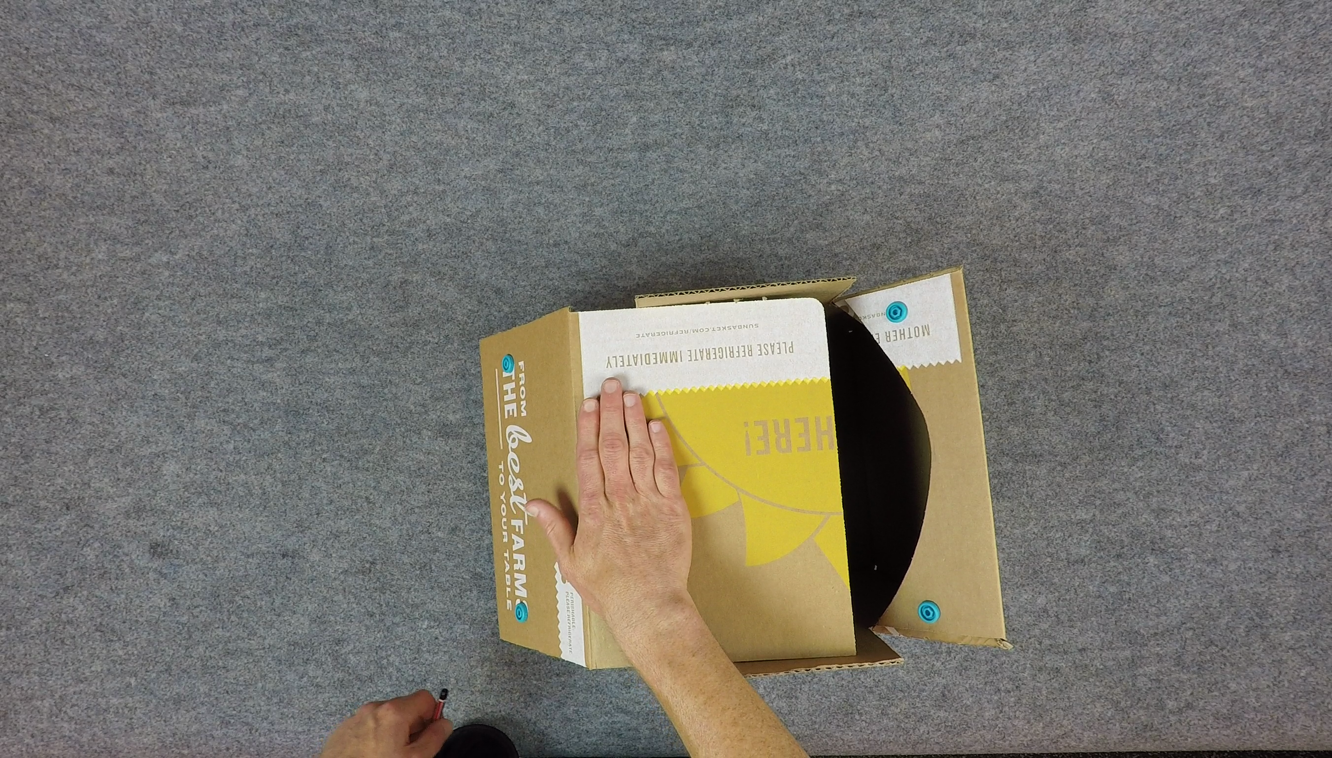 vlcsnap-00060.png
