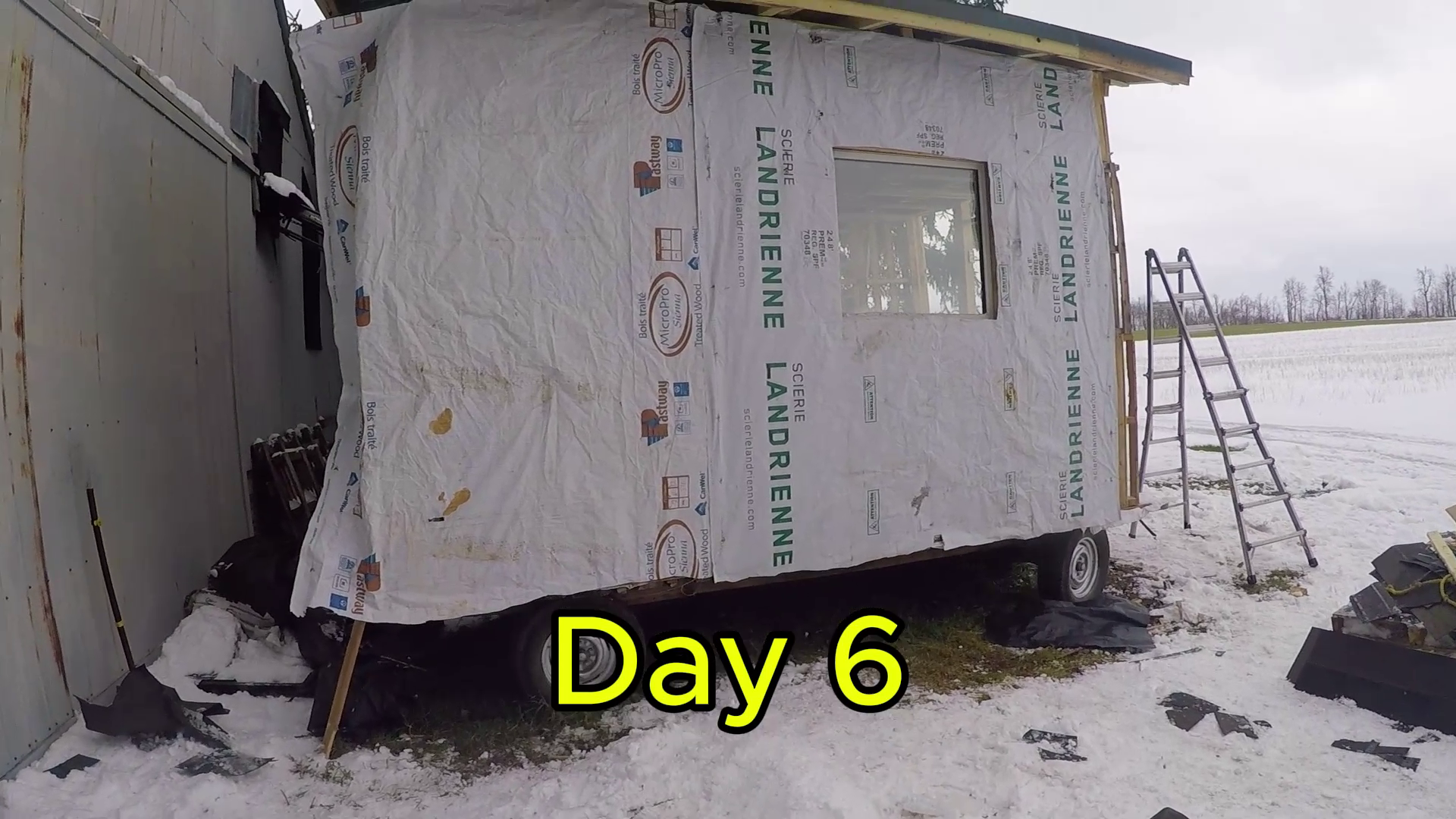 vlcsnap-2026-01-04-11h22m55s947.png