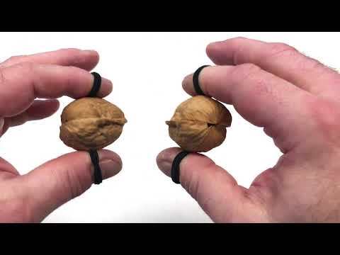 walnut clackers