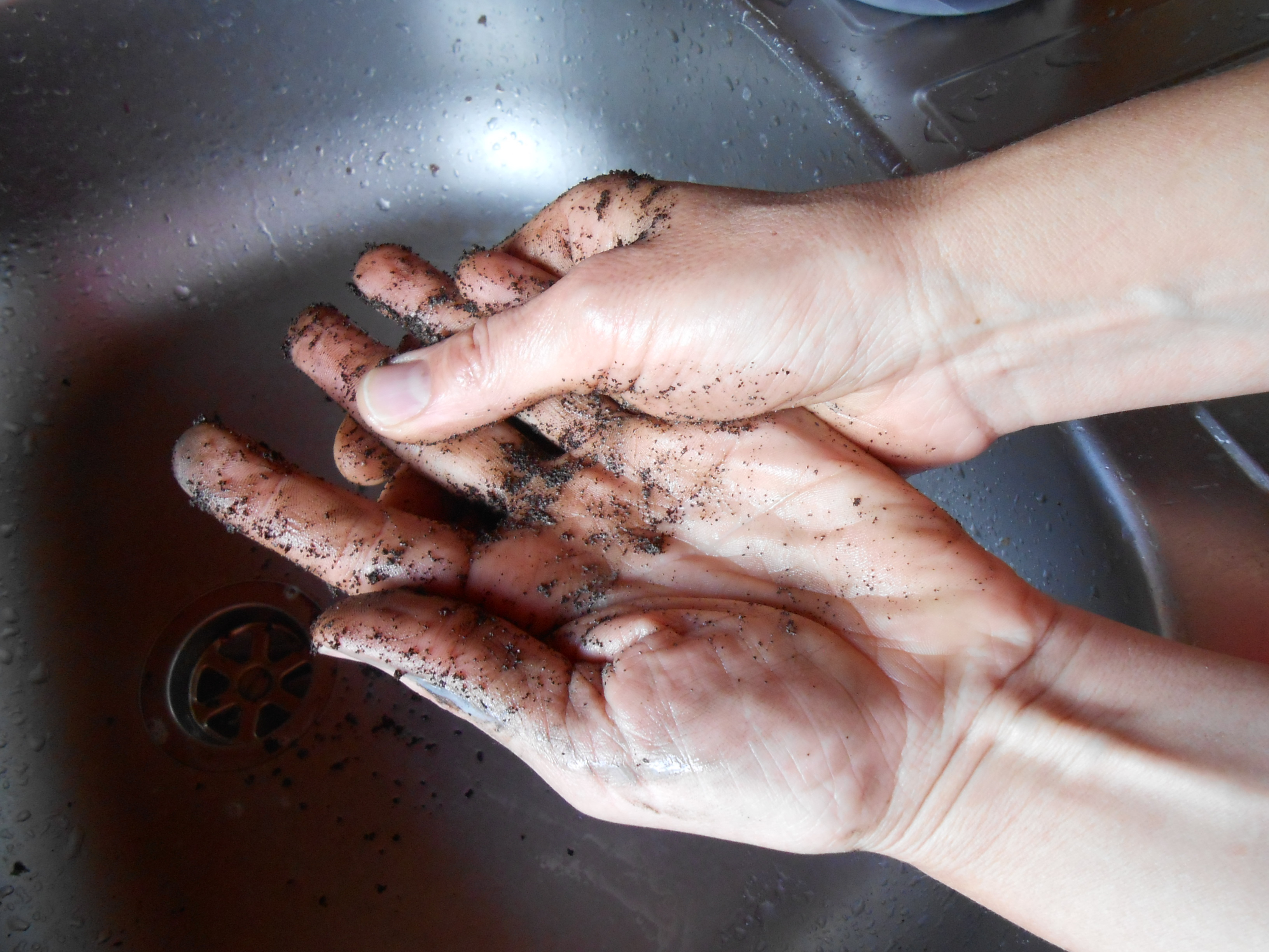 wash 3.JPG