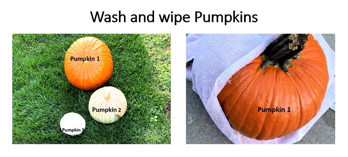 wash.jpg