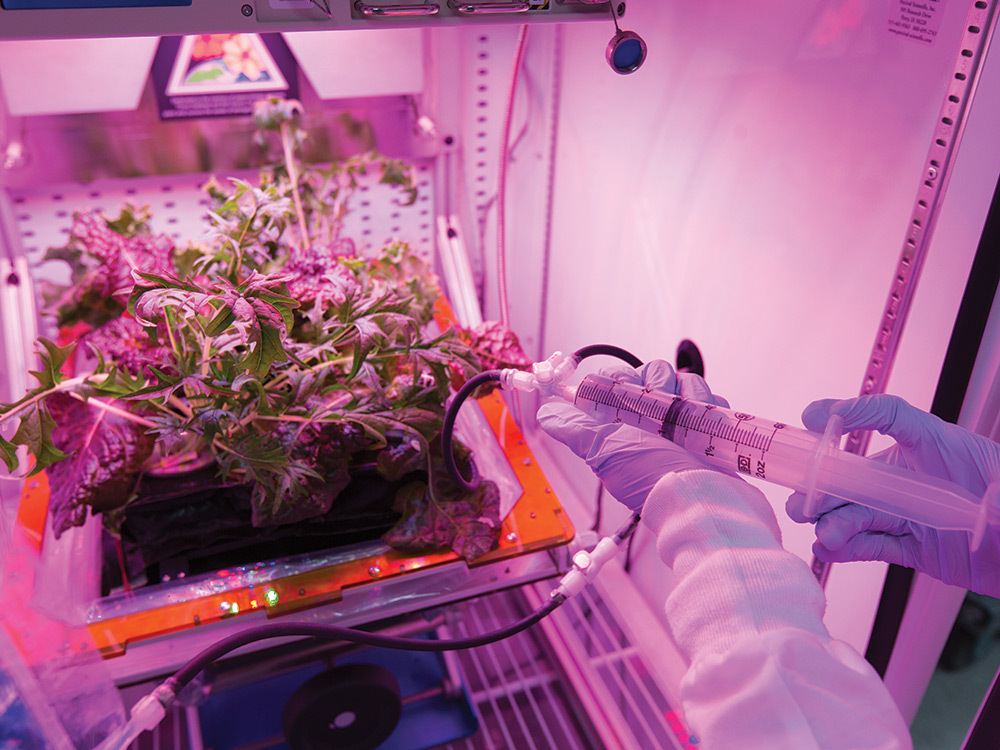 watering-space-plants.jpg