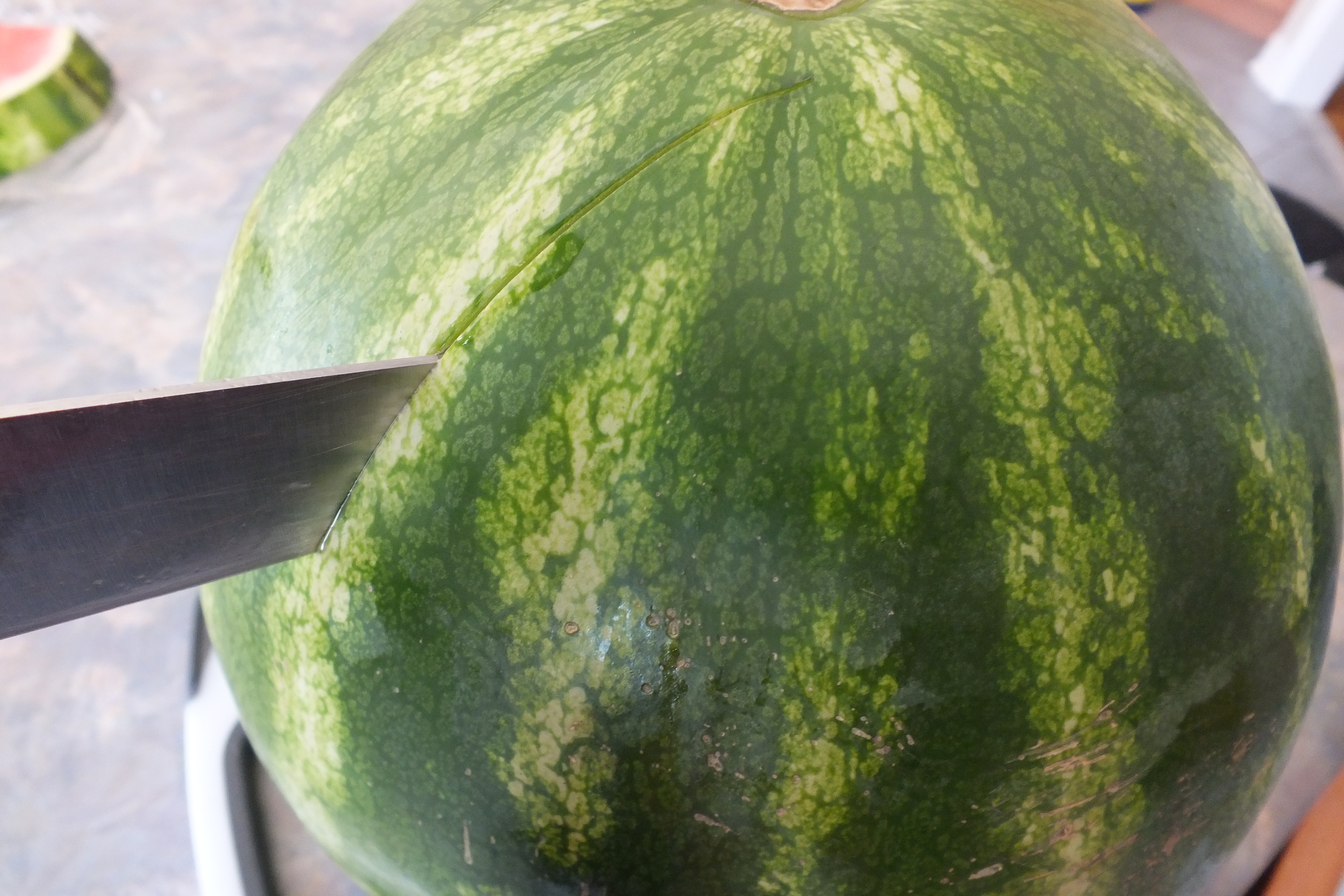 watermelon, basket 001.JPG