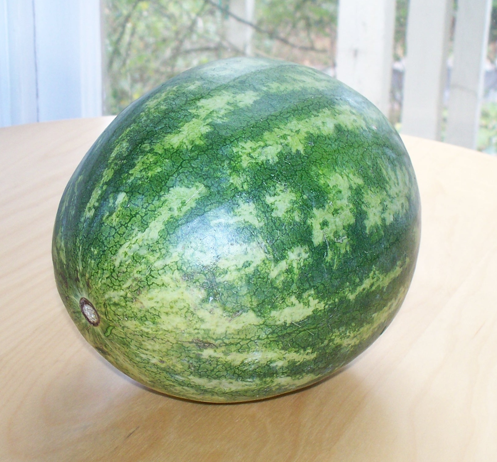 watermelon.jpg