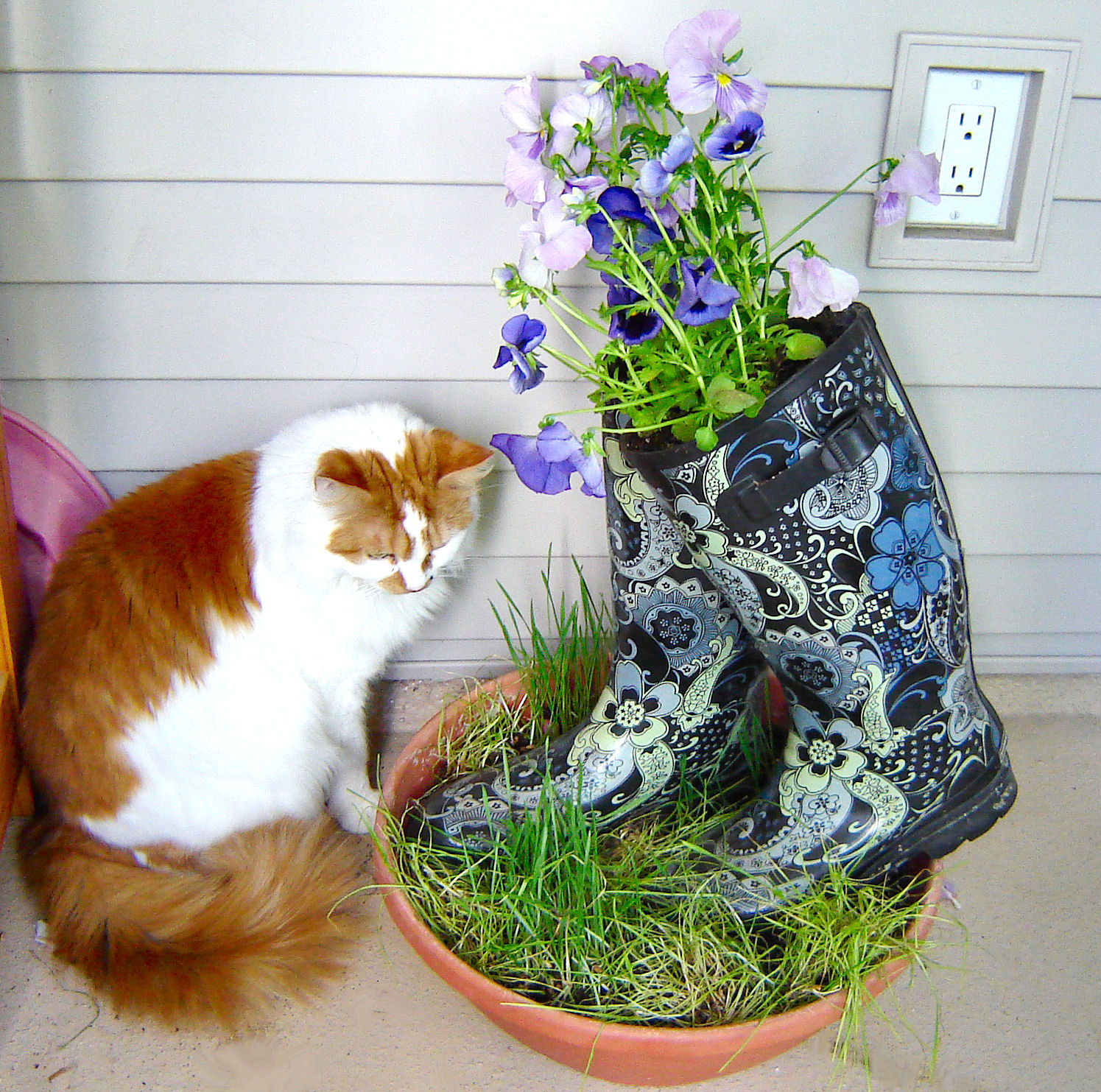 whimsical boot planter.JPG