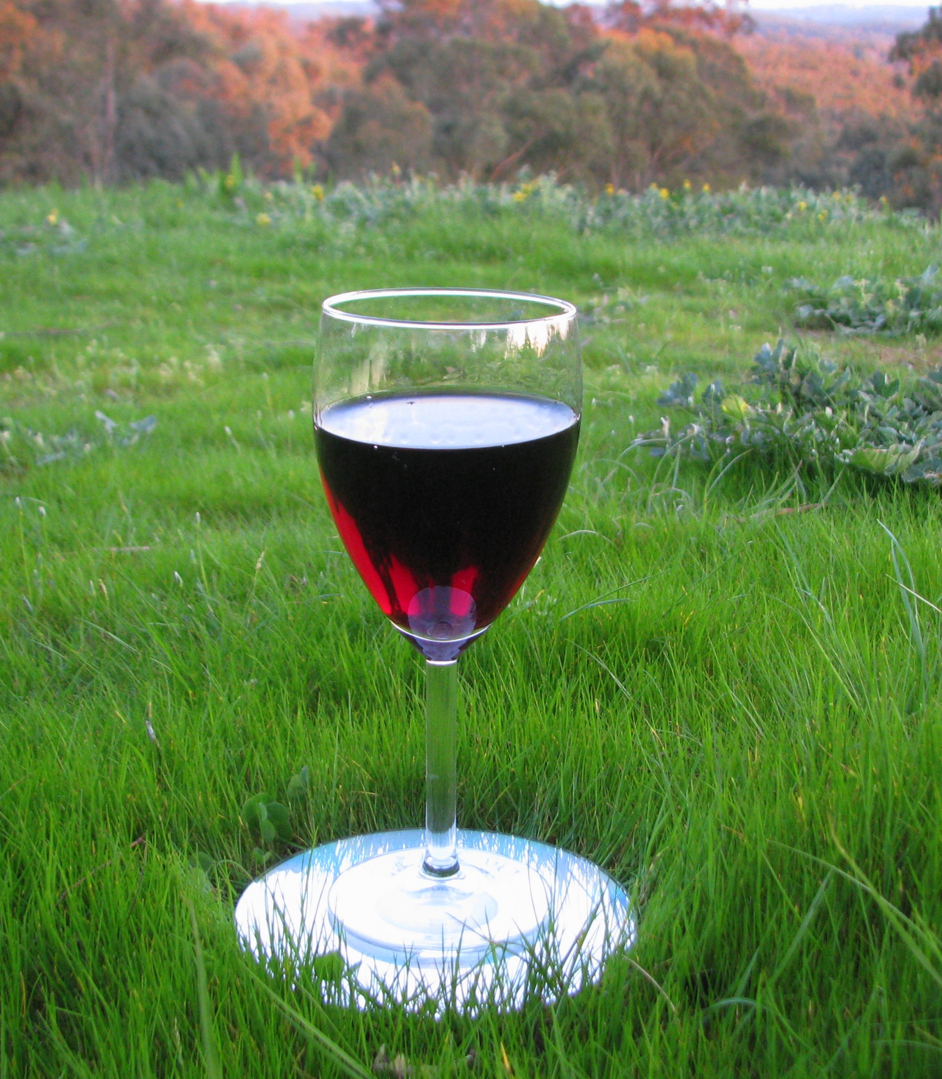 wine glass stand.JPG