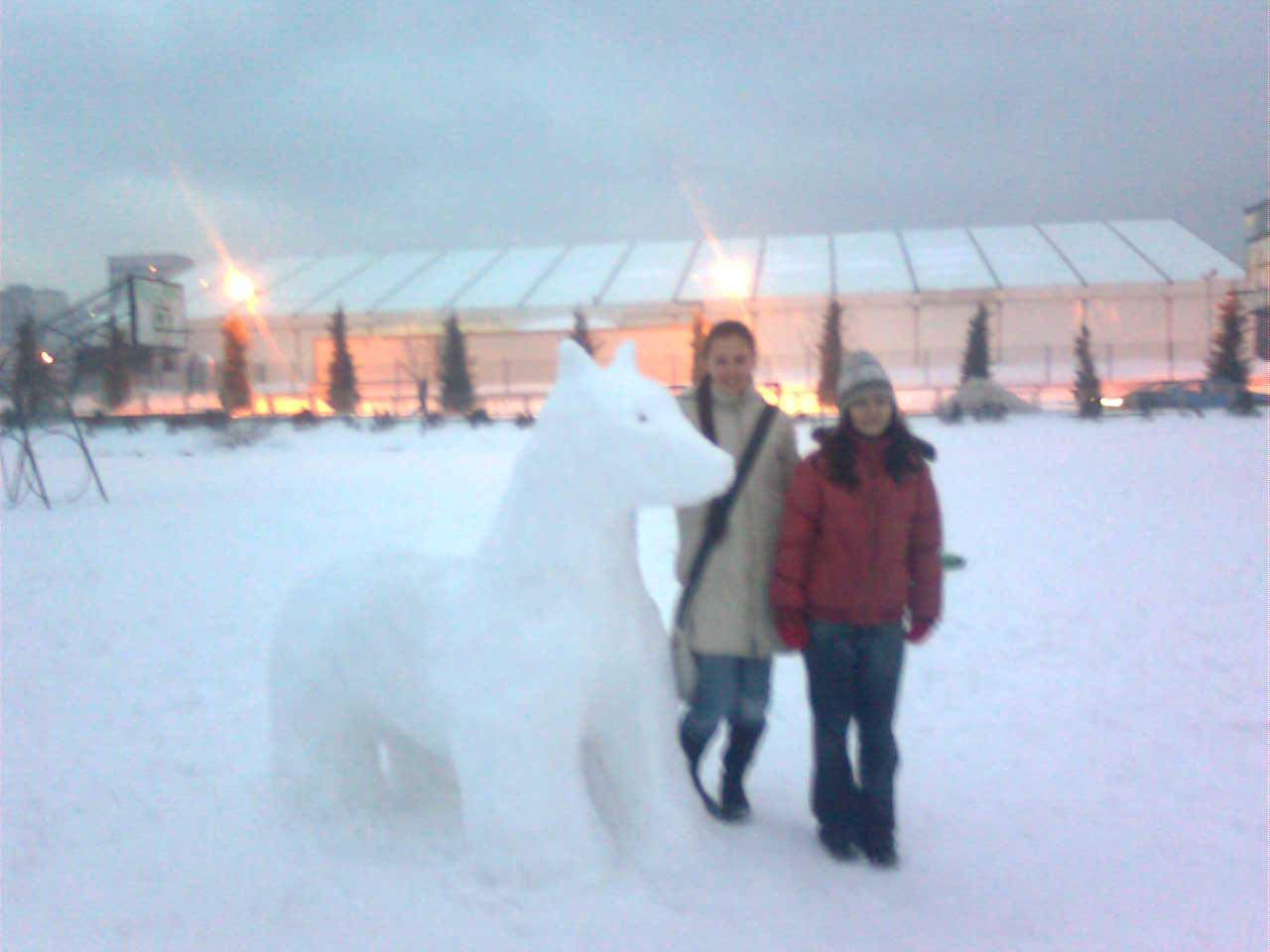 with the snow dog .jpg