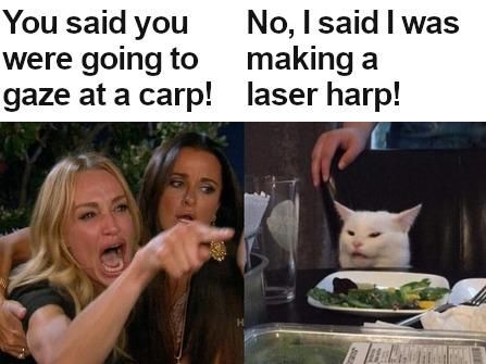 wyac-meme-lh-2-v2.jpg