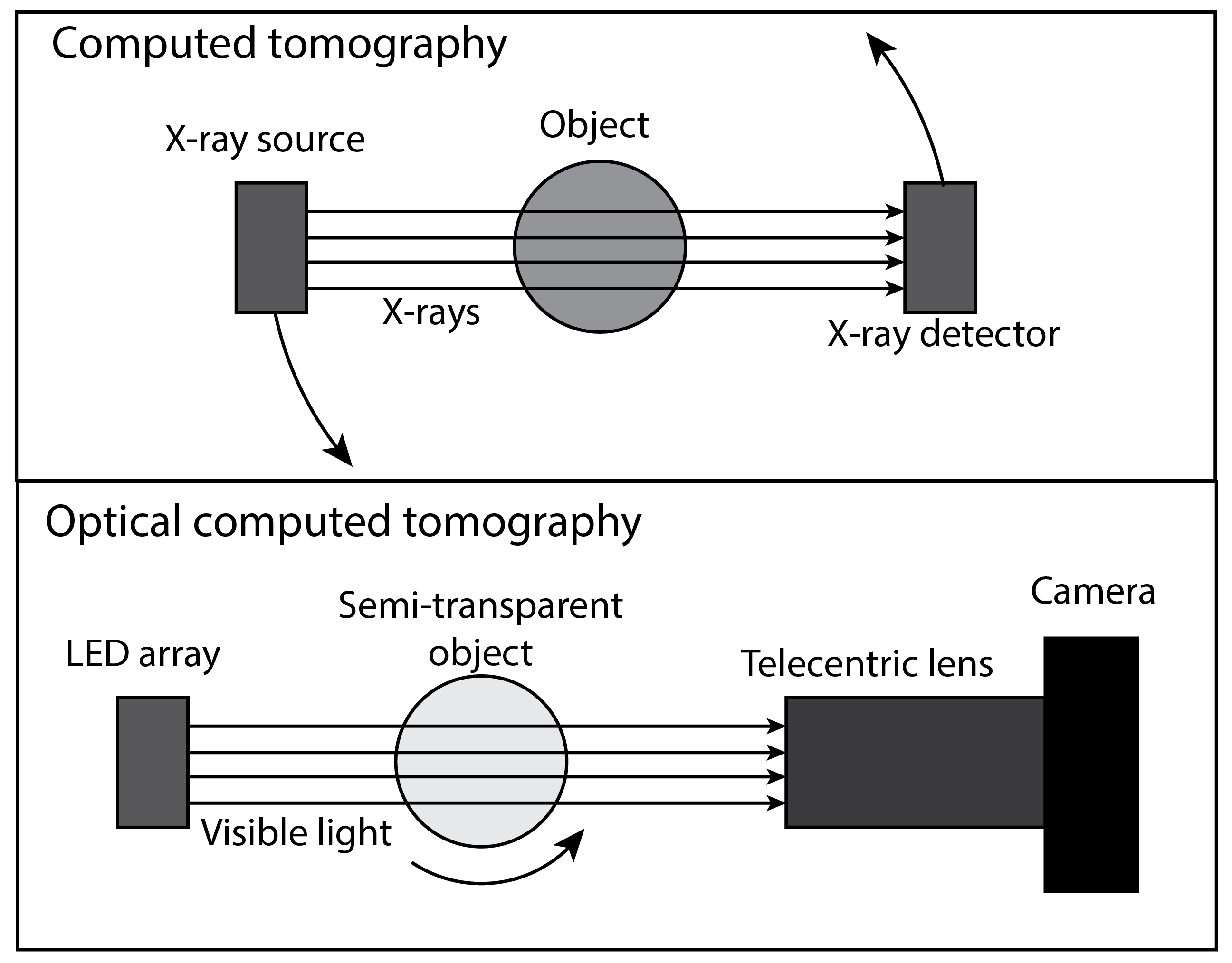 xrayVslight-01.png