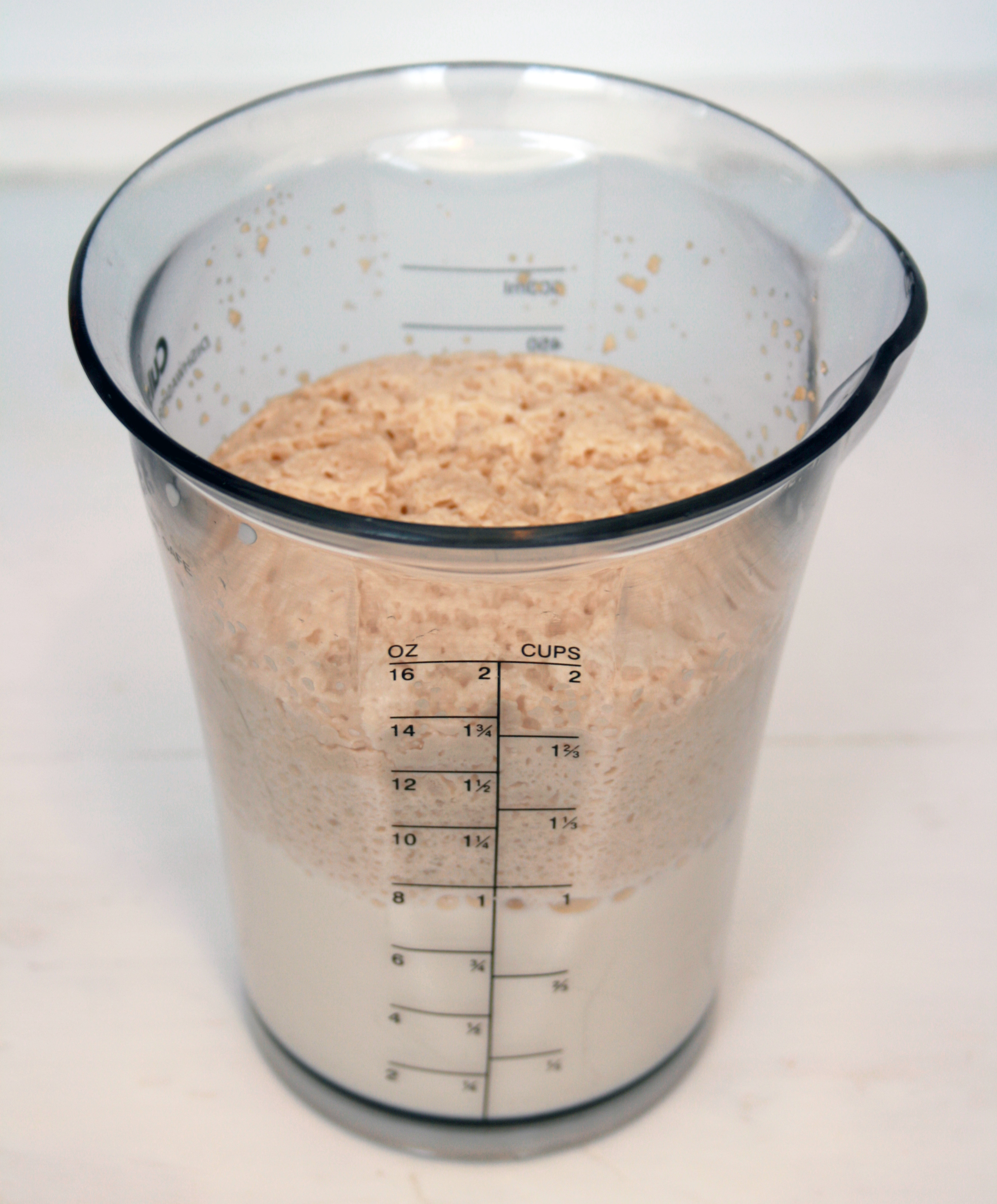 yeastproof.jpg