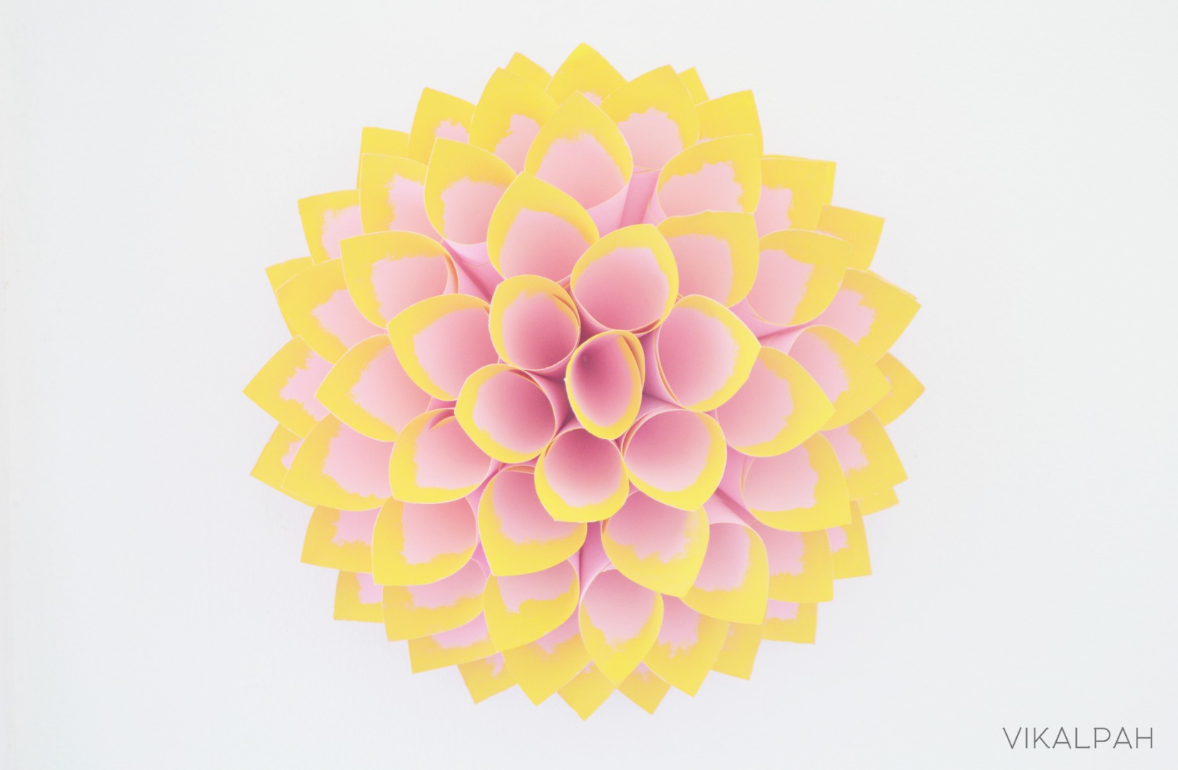 yellow in pink dahlia.jpg