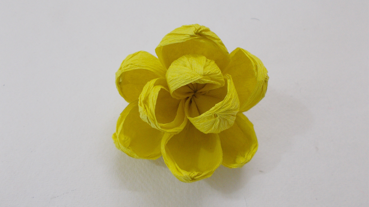 yellow-crepe-flower.jpg