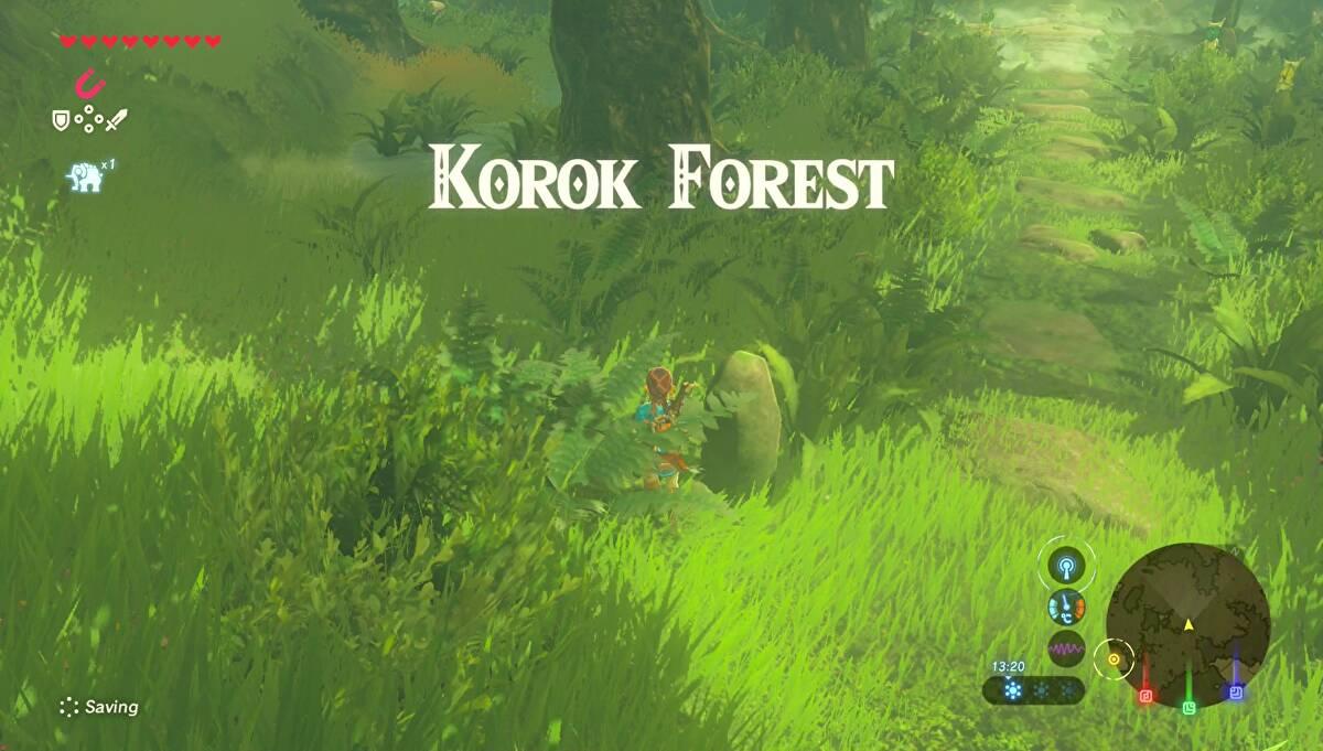 zelda_lost_woods_10.jpg