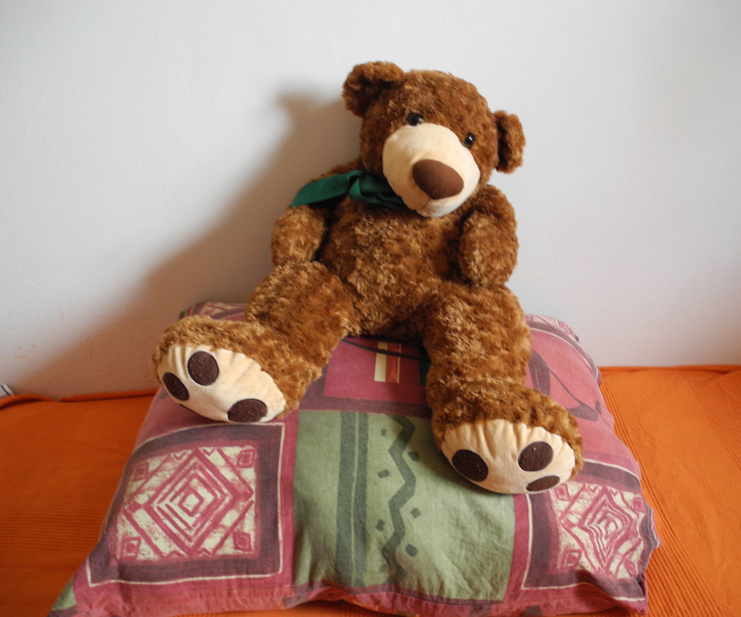 Pillow From Sleeping Bags