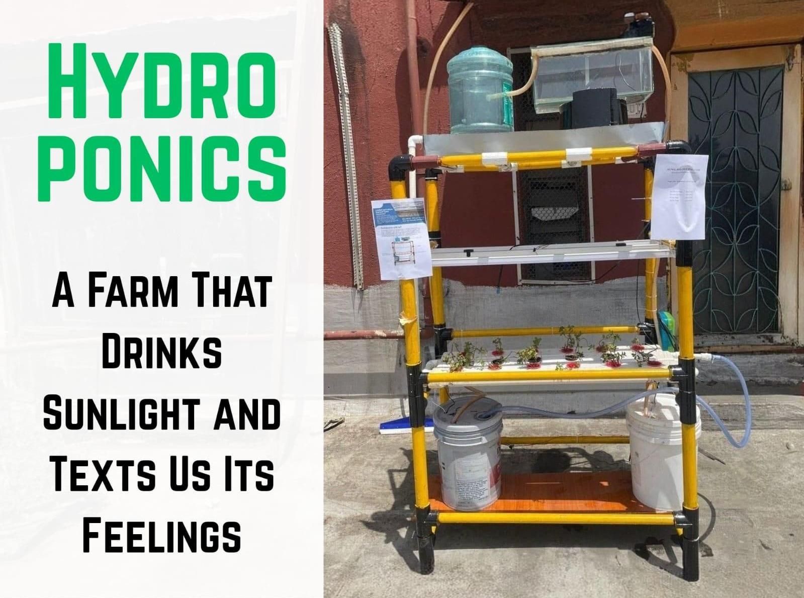 Hydroponics - Farm That Drinks Sunlight and Texts Us Its Feelings
