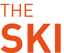 How to Download a Minecraft Skin (on Skindex)