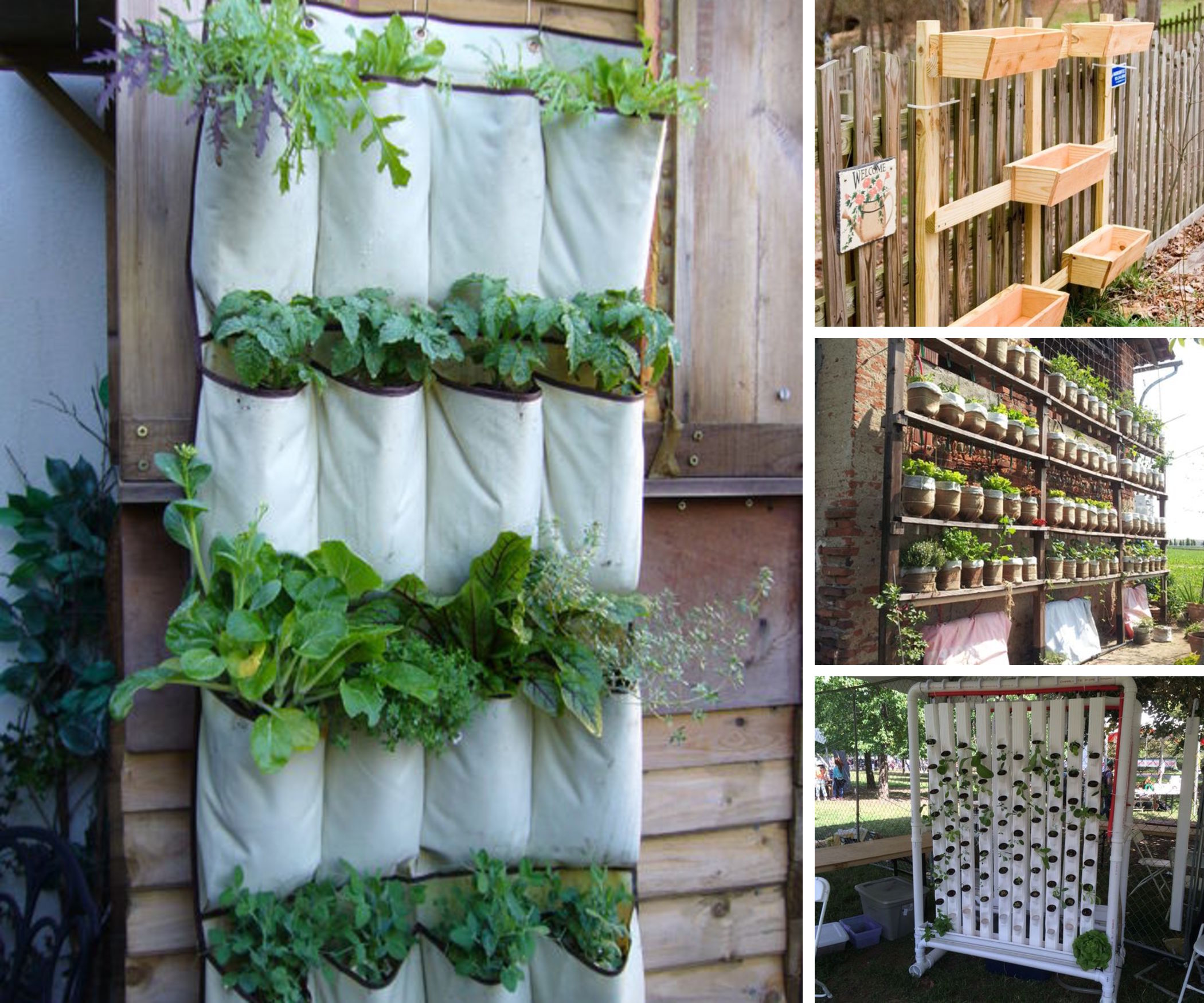 10 Space-Saving Vertical Gardens