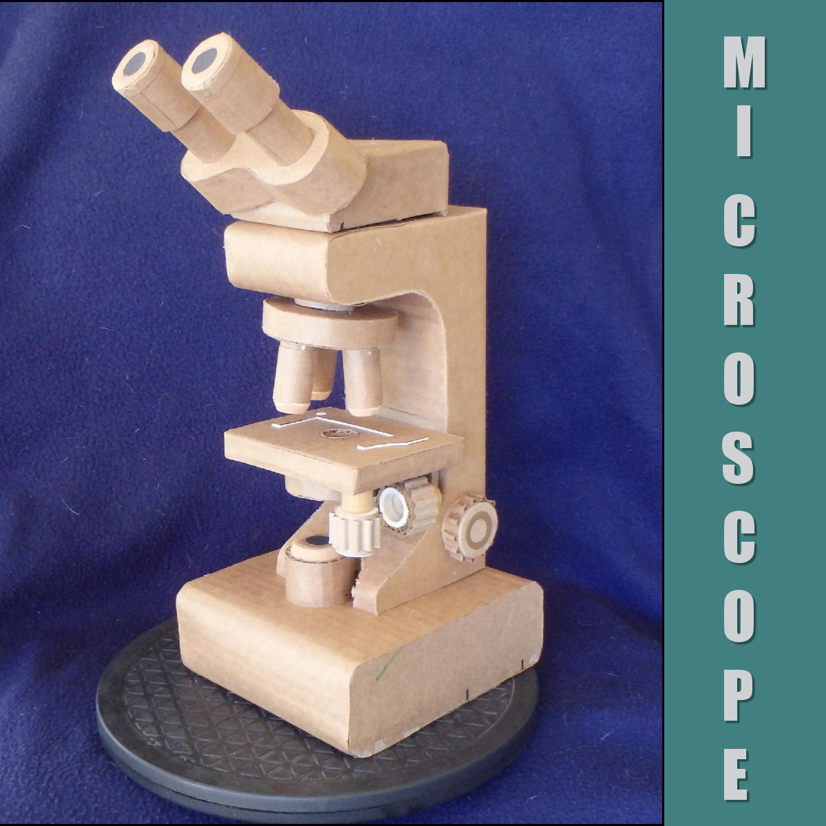 Make a Cardboard Binocular Microscope