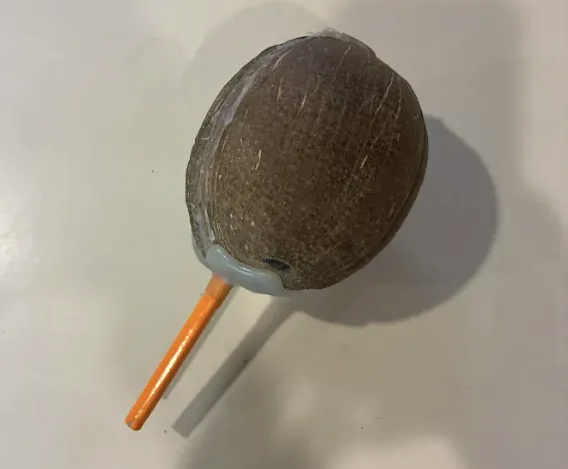 Maraca Out of a Coconut Shell