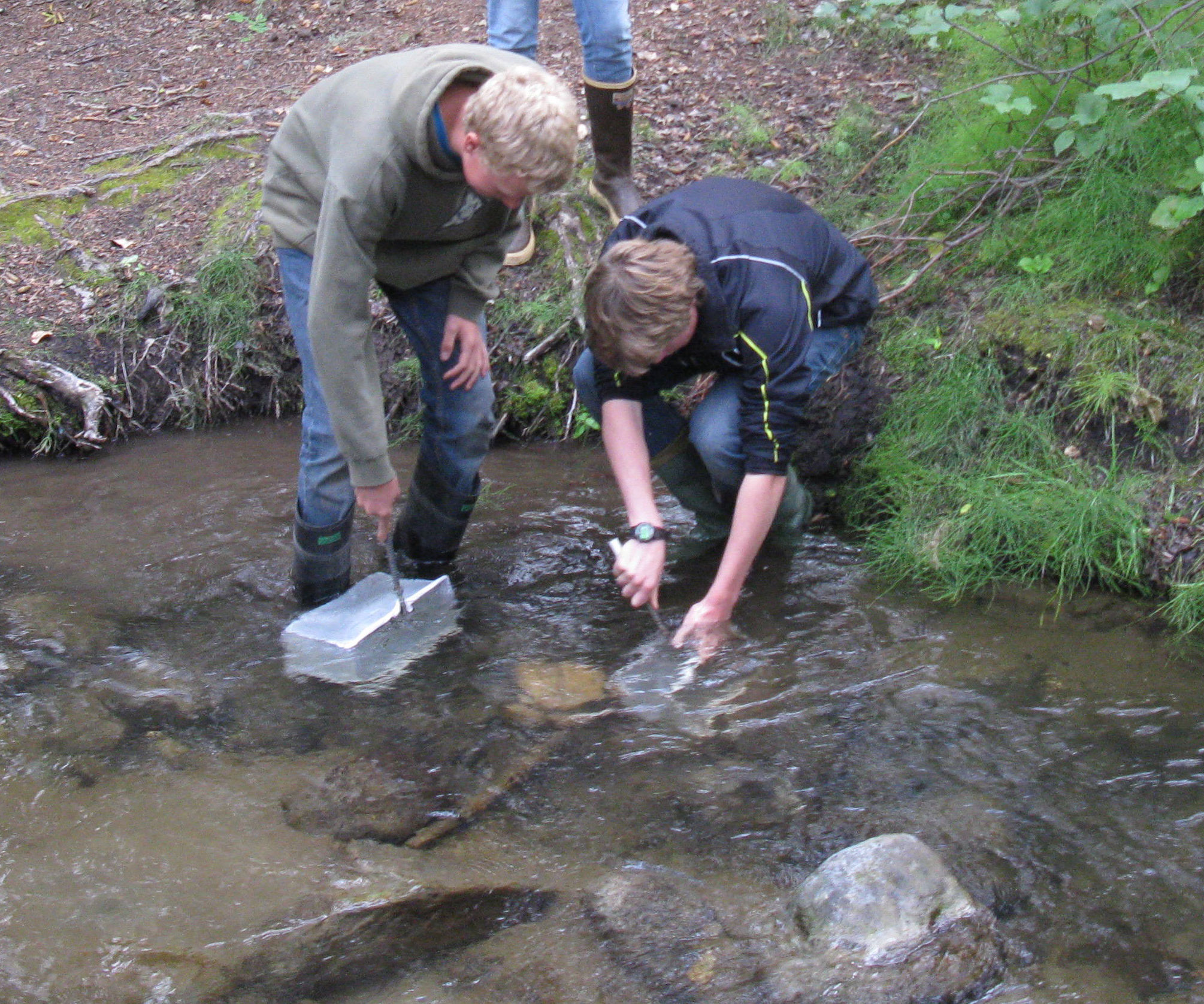 Surber Sampler for Aquatic Invertebrates