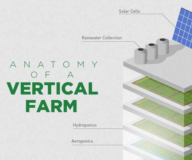 Self-sustaining Vertical Farm model