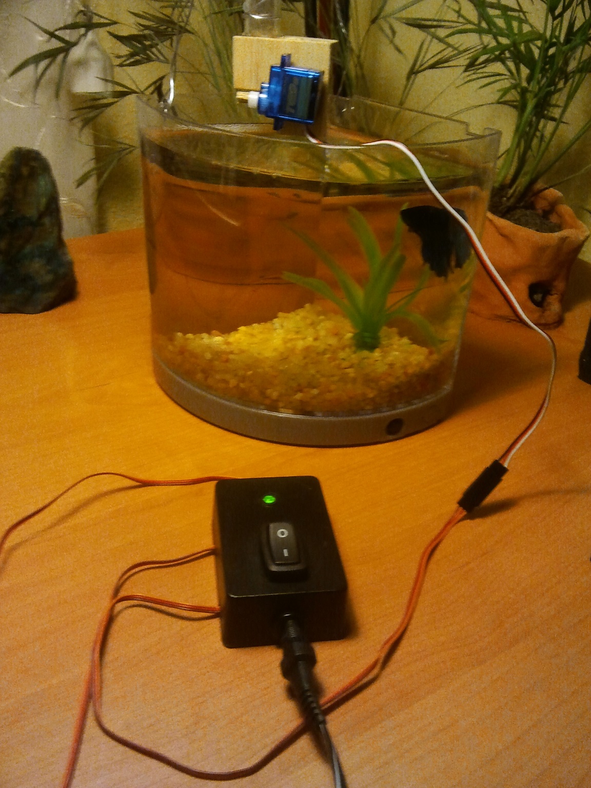 (AT)tiny Fish Feeder