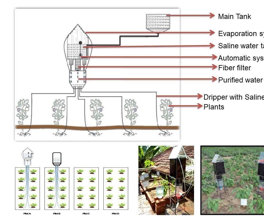 Cost effective Smart Drip Irrigation using Saline Water 