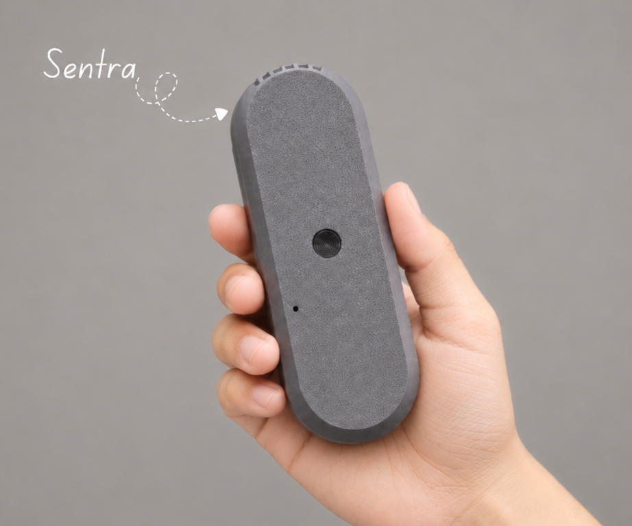Sentra — the Smartest DIY CCTV Camera