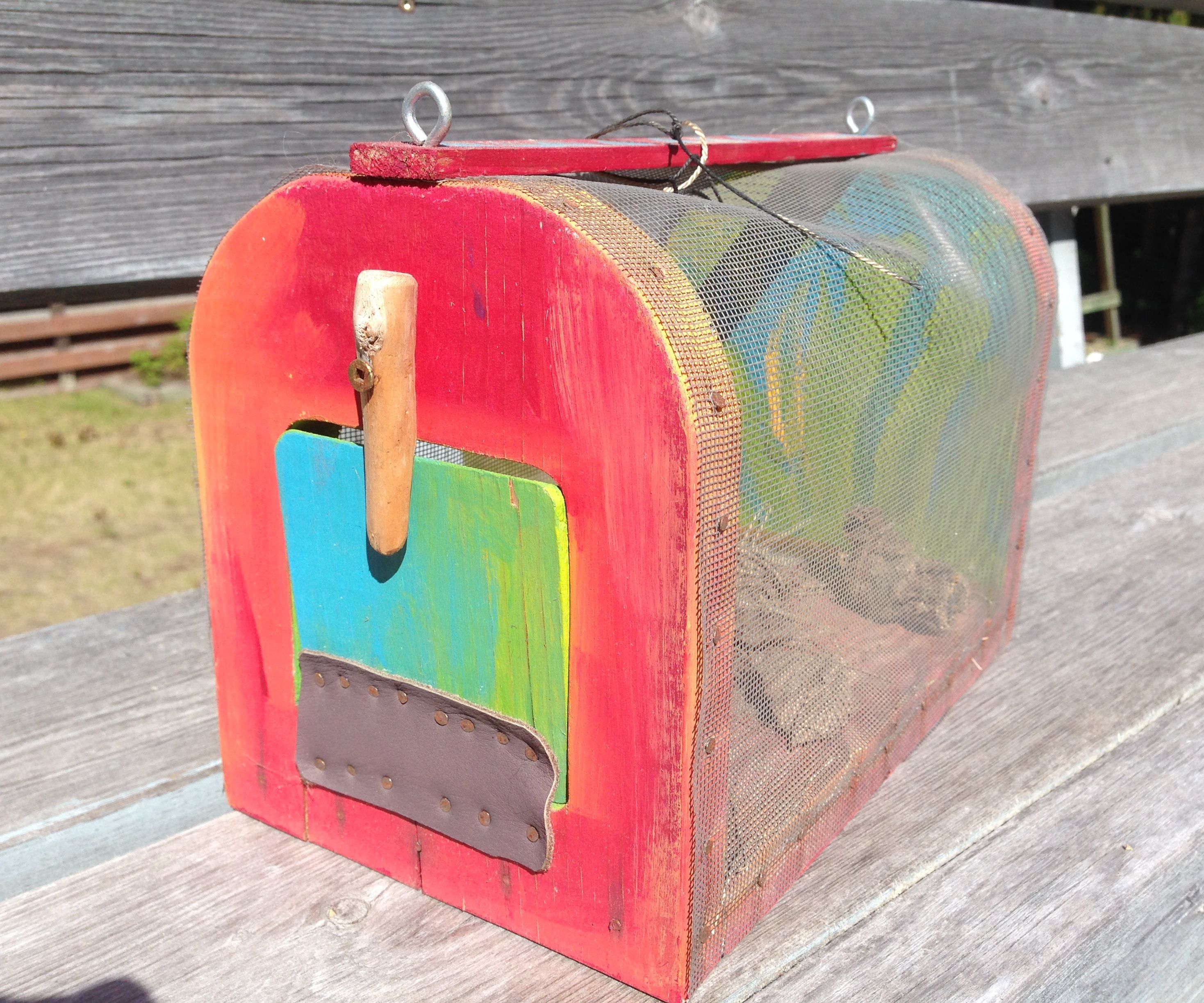Bug House for Kids