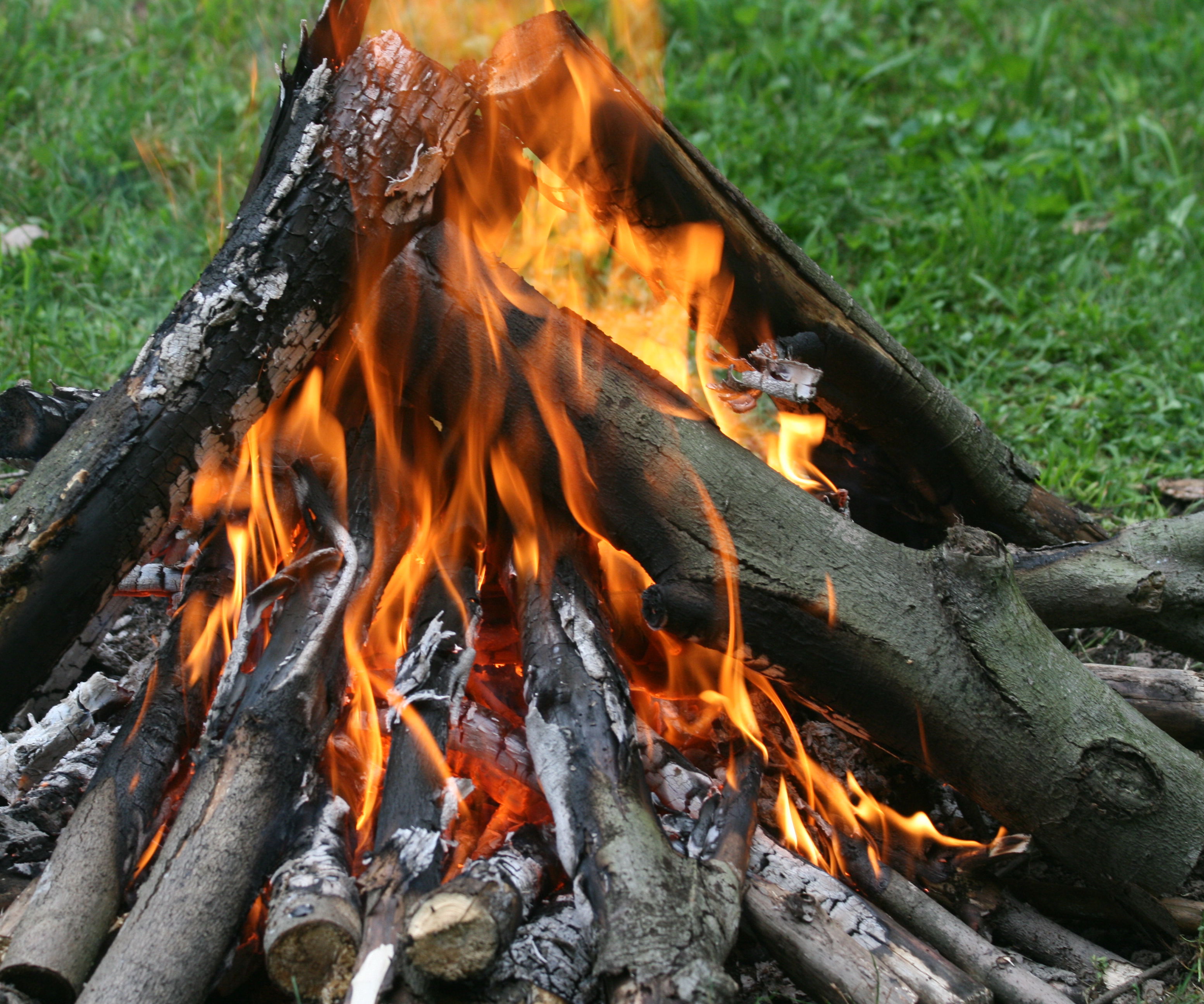 Building a Campfire