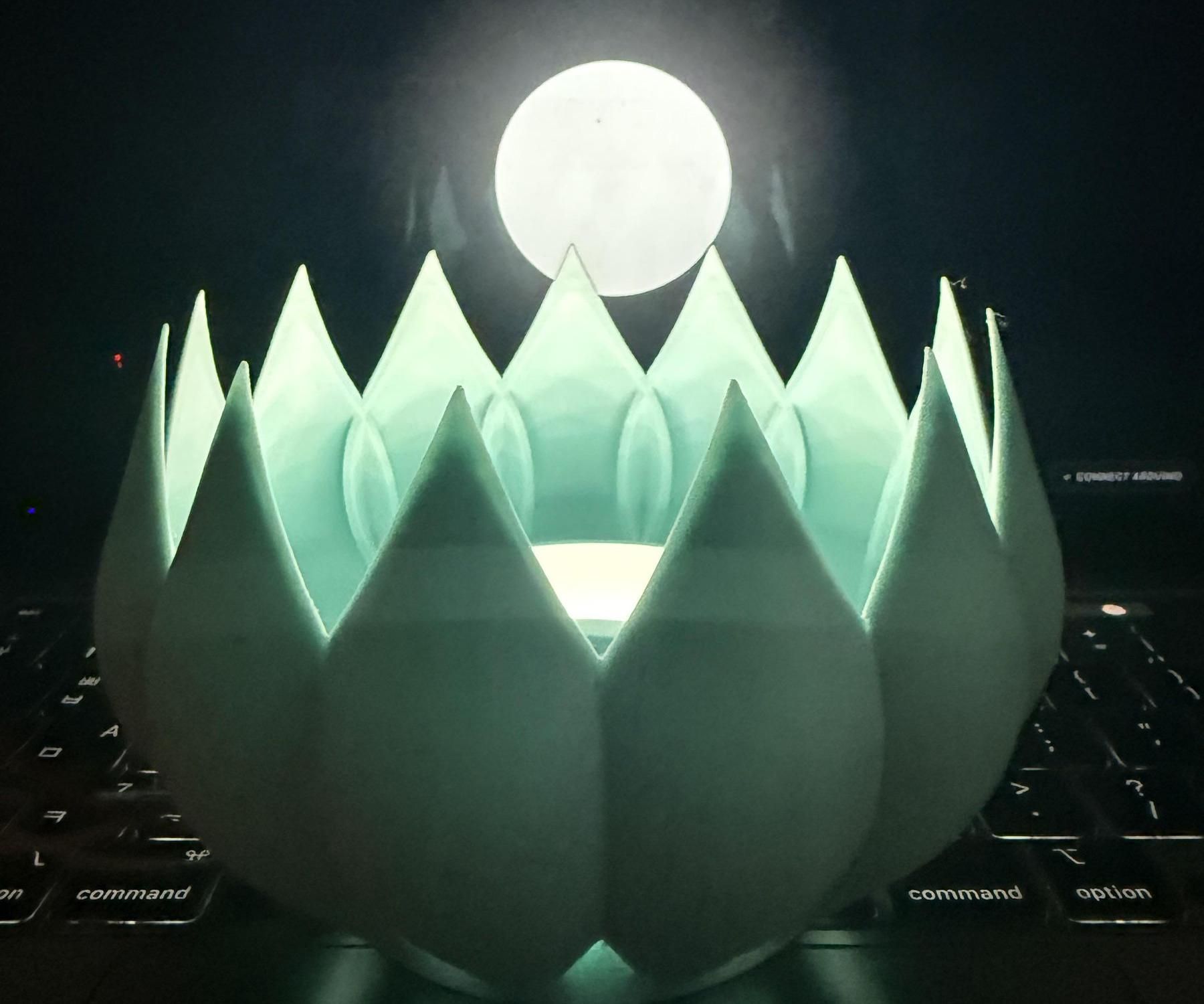 Project ZEN : a Lotus-Inspired Meditation Installation