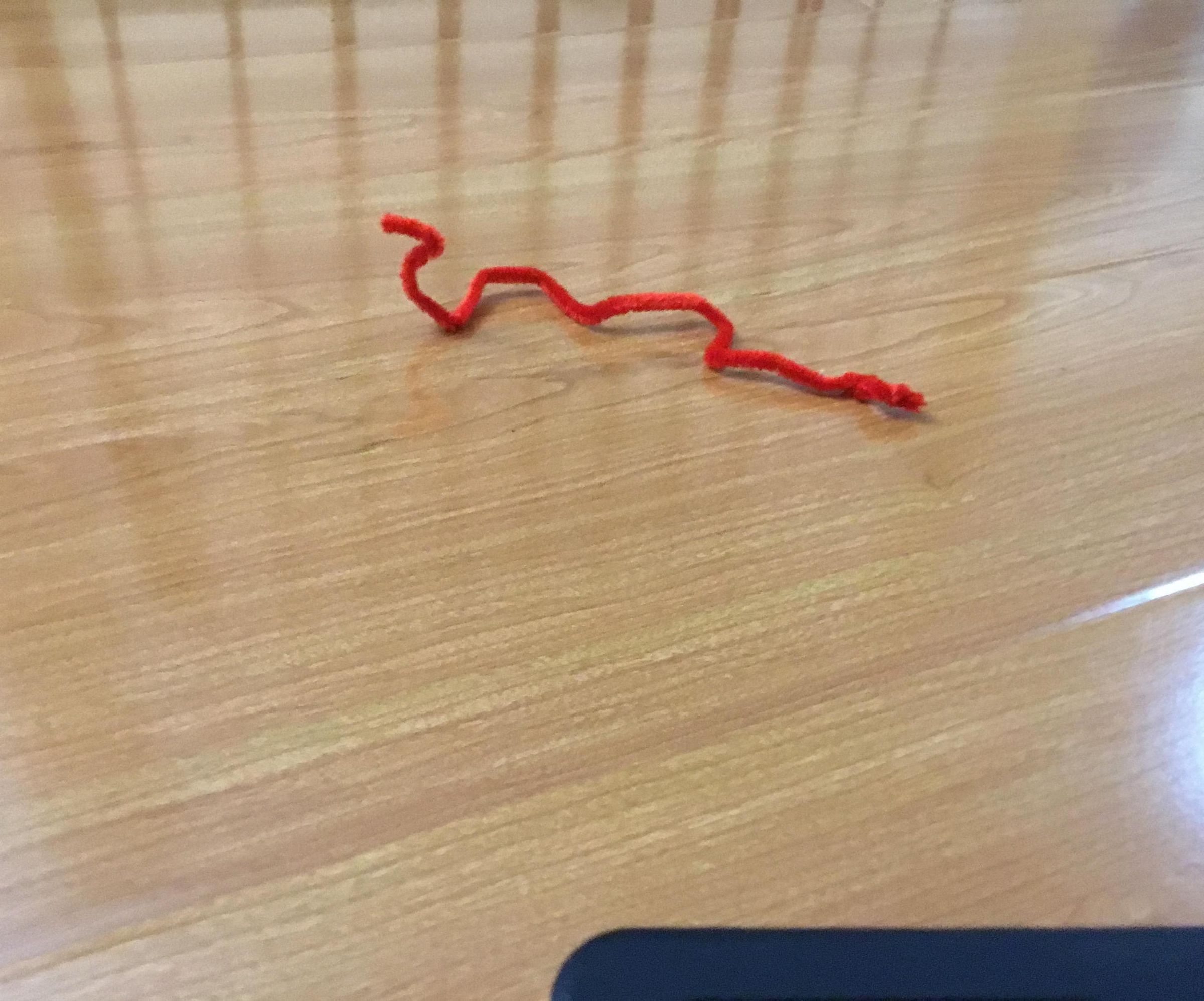 Pipe Cleaner Snake