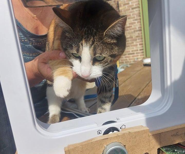 Smart Cat Flap MCT Howest