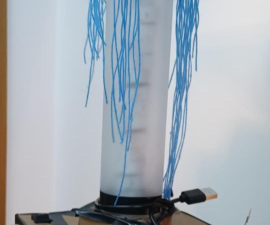 Chameleon Lamp