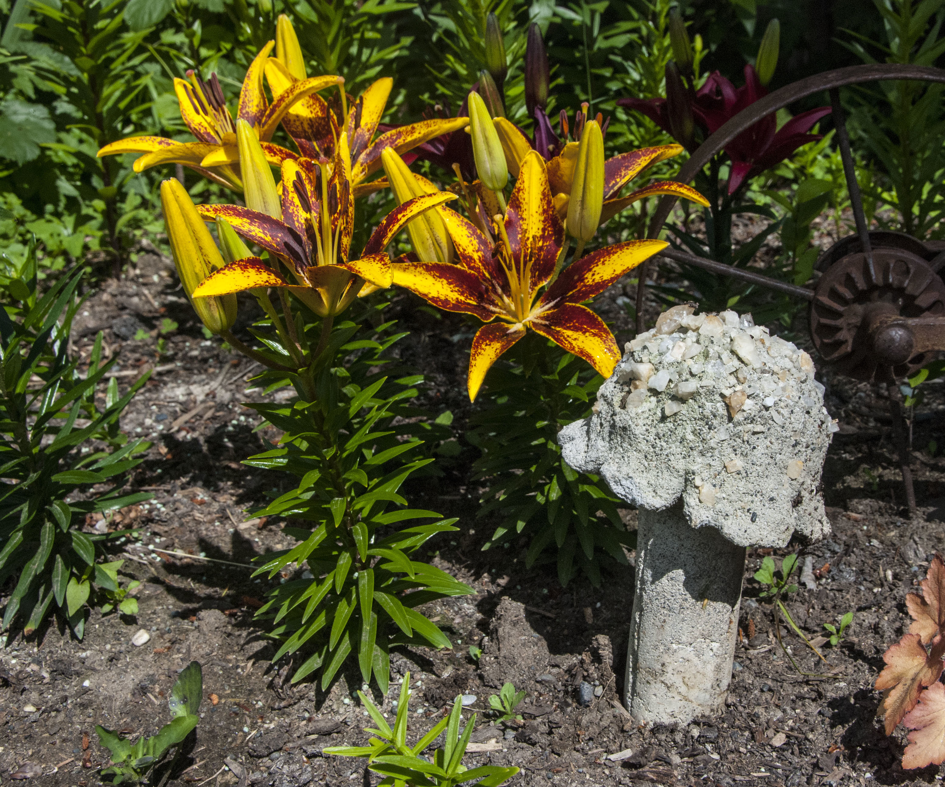 Concrete Garden Mushrooms