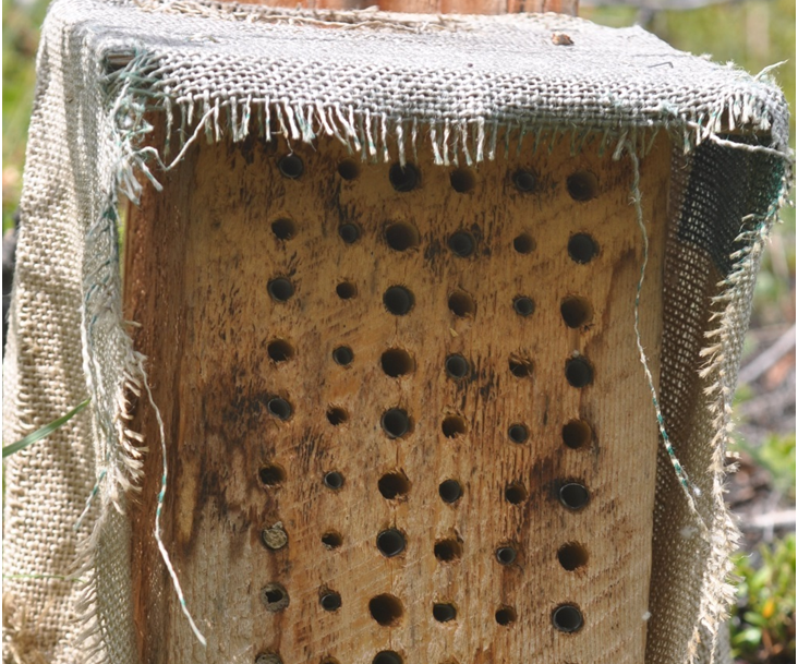 How to Make Bee Houses