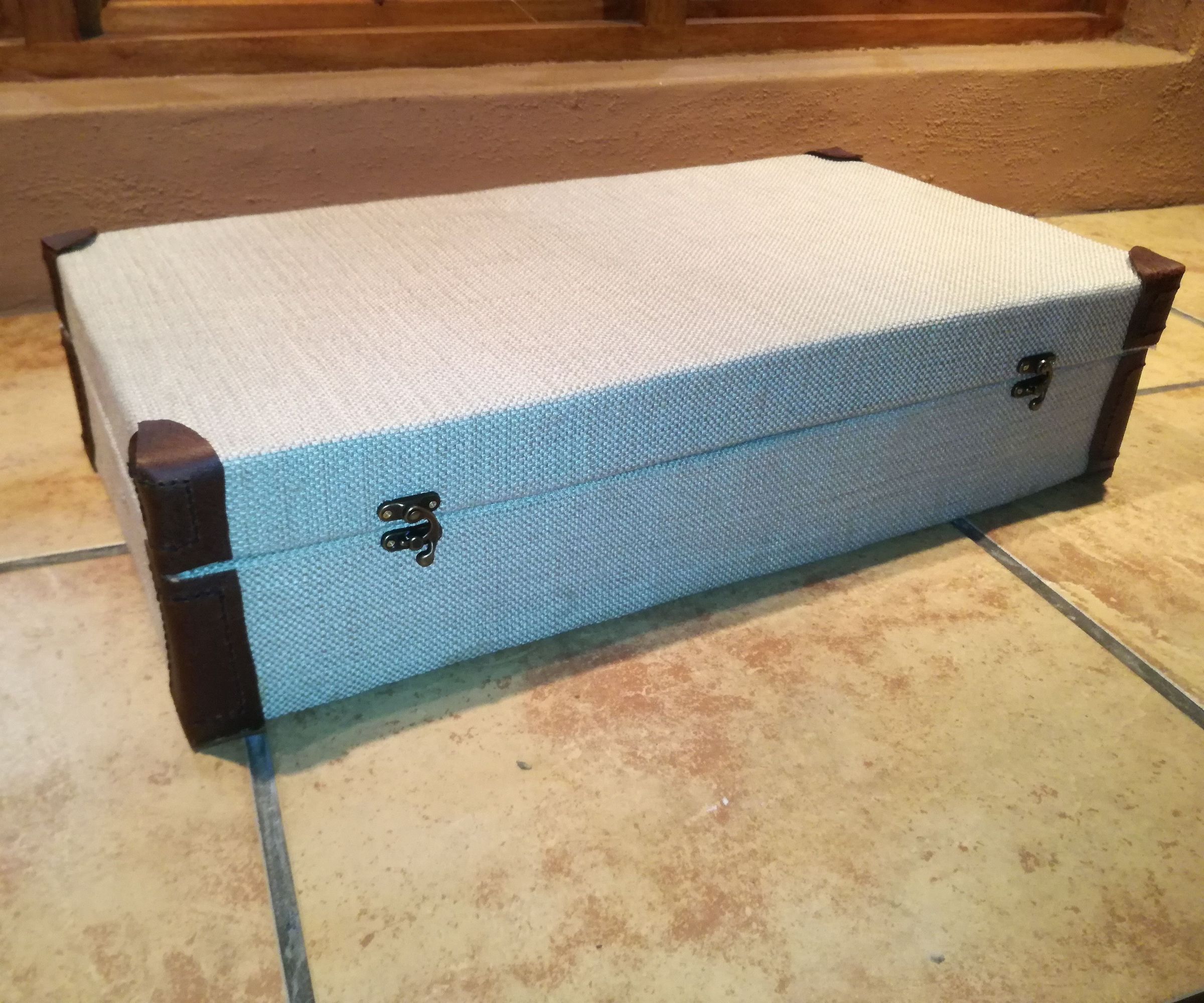Ukulele Travel Case